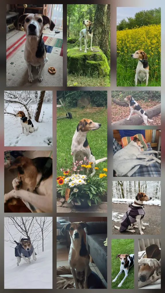 Andachtsbild von Claudia Funken
