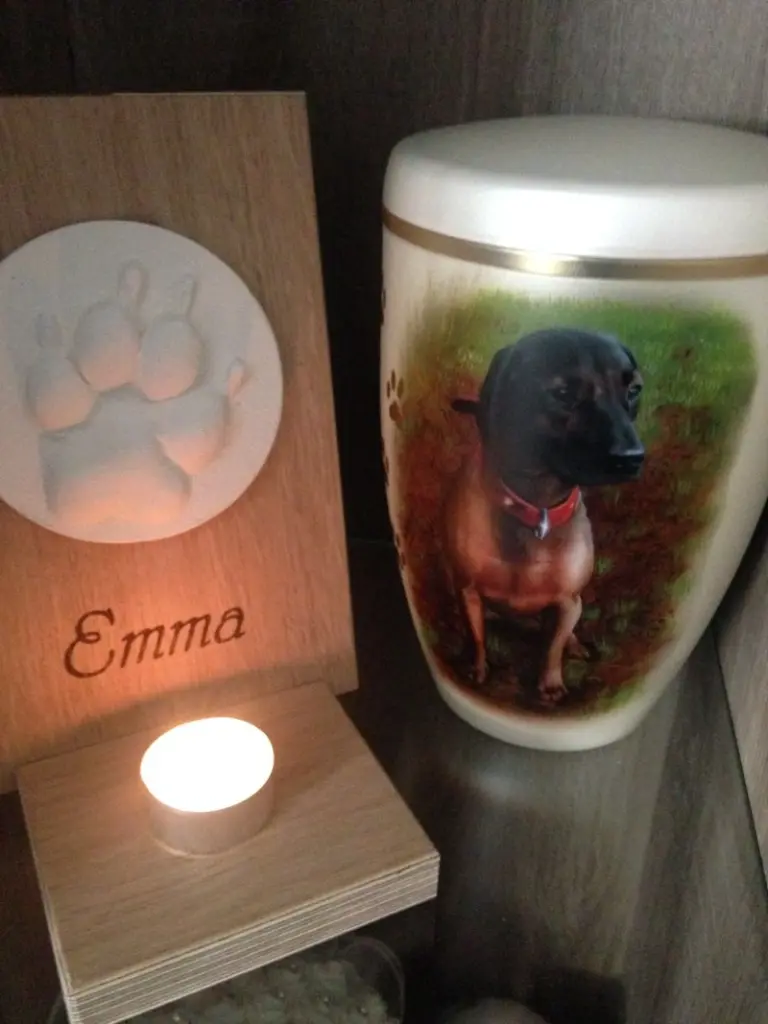 Image from Emma