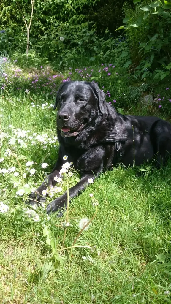 Condolence image of Katrin