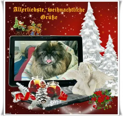 Image from an dich mein Sternchen Sina