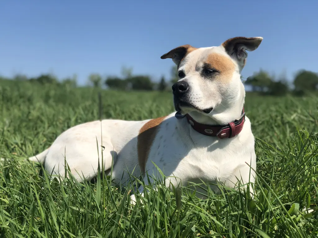 Bild von Lady