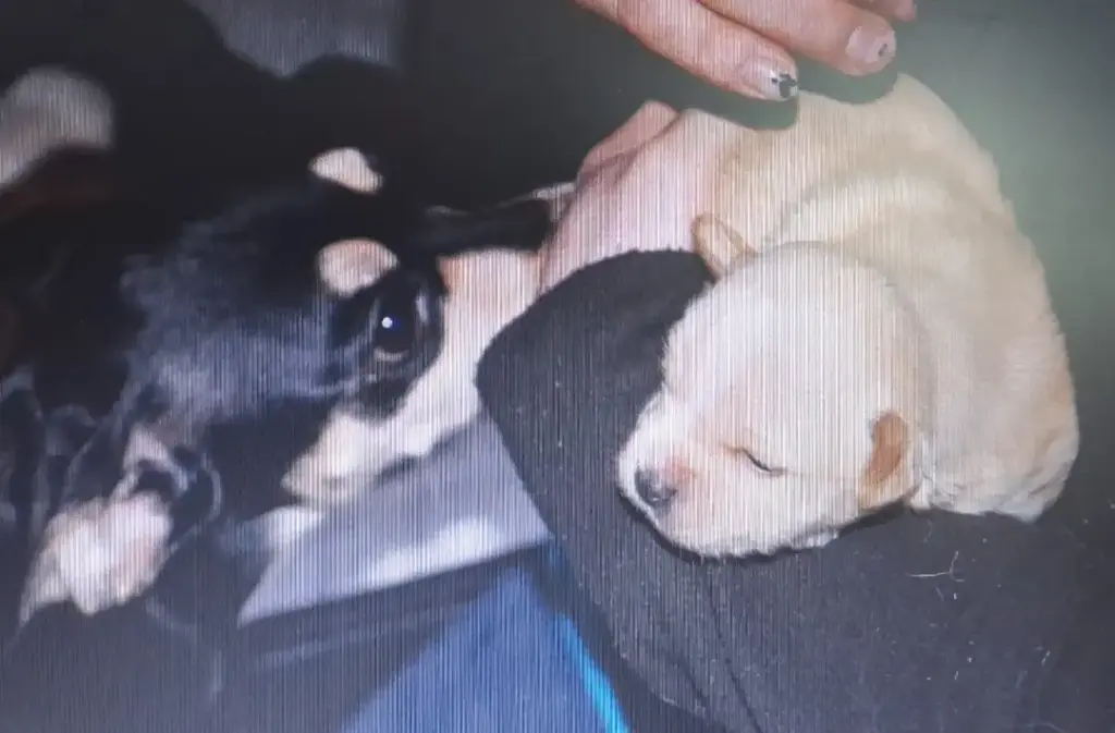 Kira und Momo
