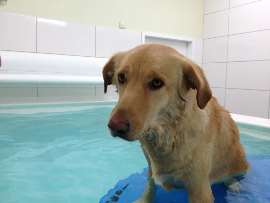 Bild von Nala