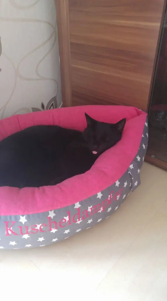Bild von Peti