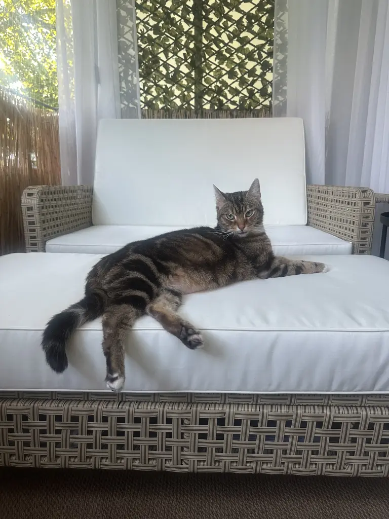 Image from Milow