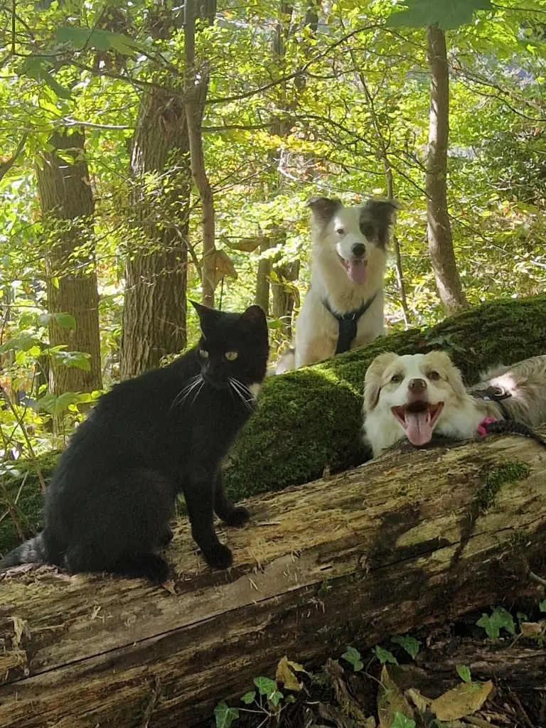 Lucy,Lilly und Krümel