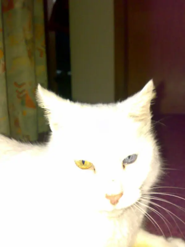 Condolence image of Sigrid 