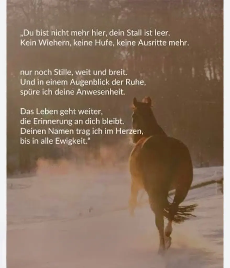 Condolence image of Steffen