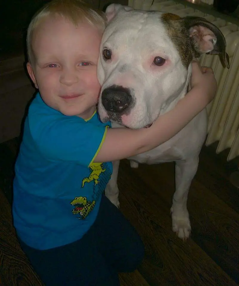 Image from Tyson