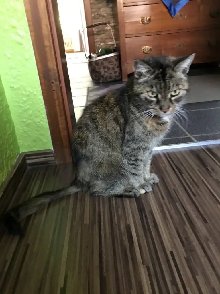 Image from Baby