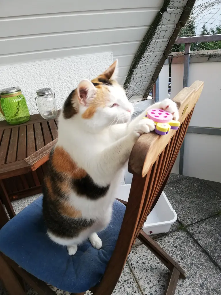 Immer neugierig 😻