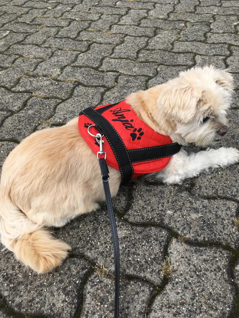 MEIN Mädchen