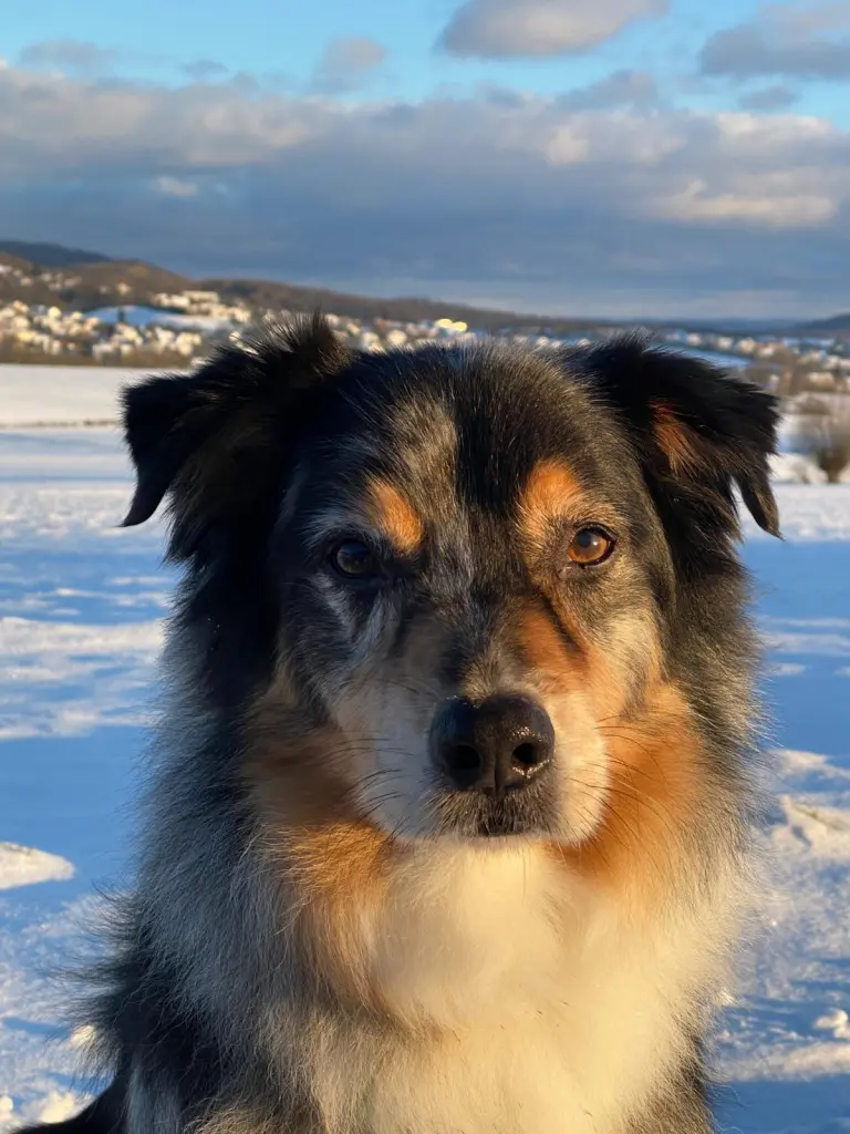 Bild von Yuma