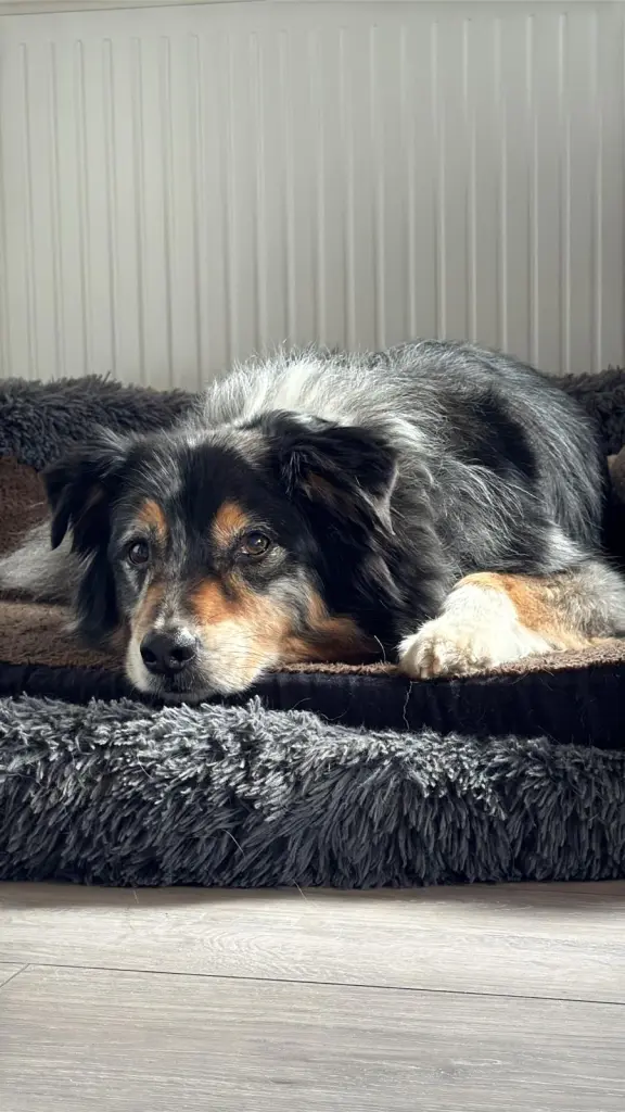 Bild von Yuma