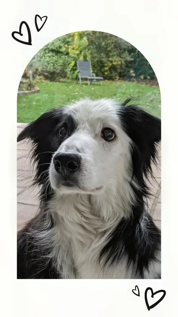Dein letzter Geburtstag 🍀, 17 Jahre ❤️