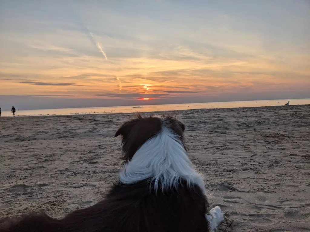 Lieblingsort