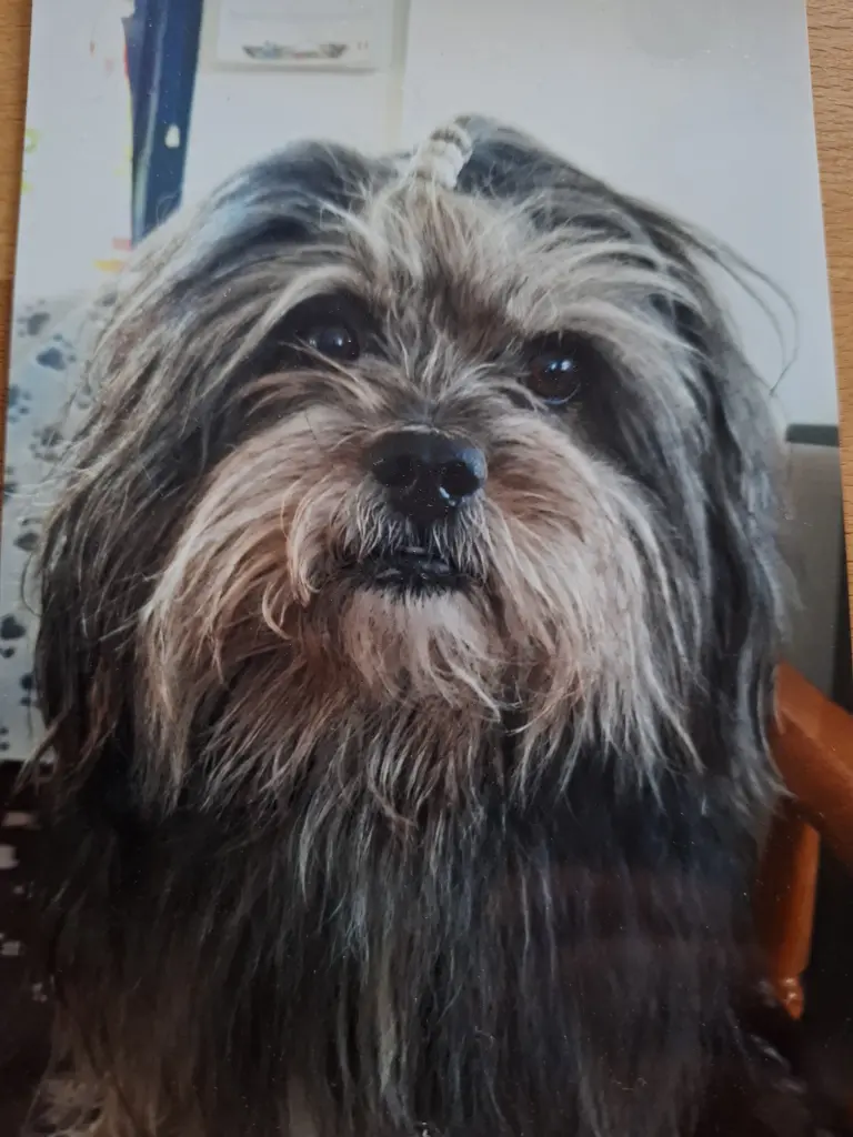Condolence image of Angelika Felser