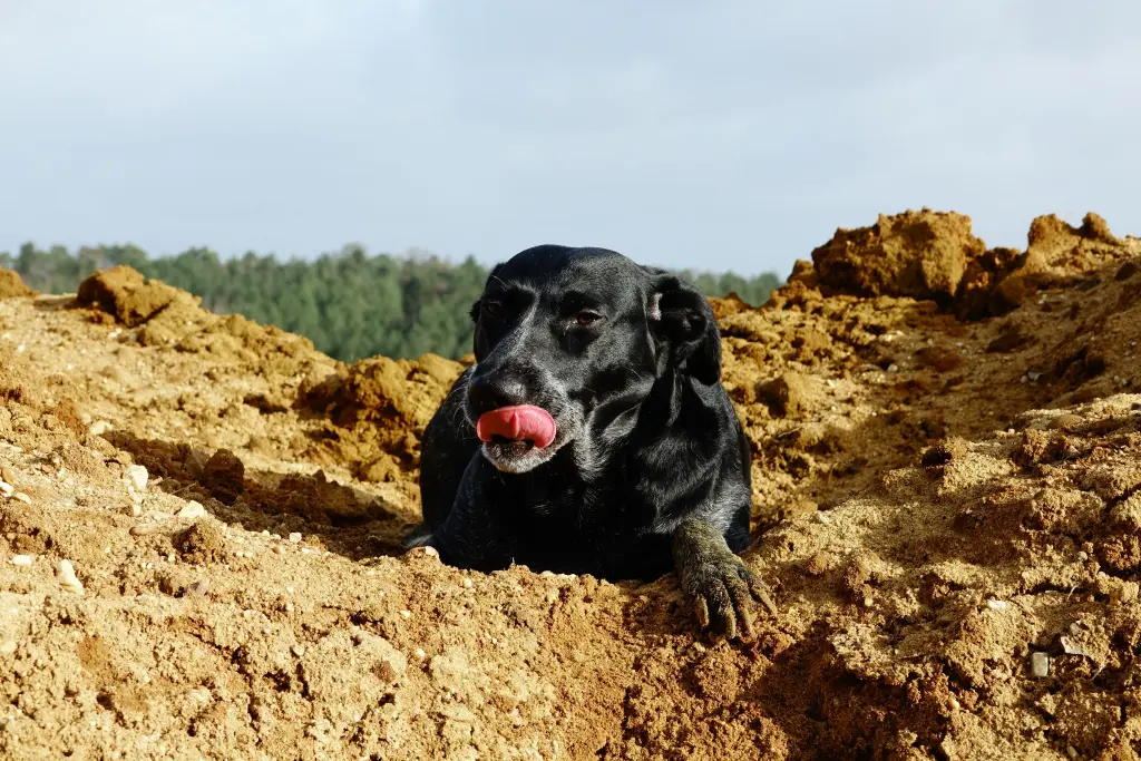 Ausruhen in der Sandgrube Dorsten