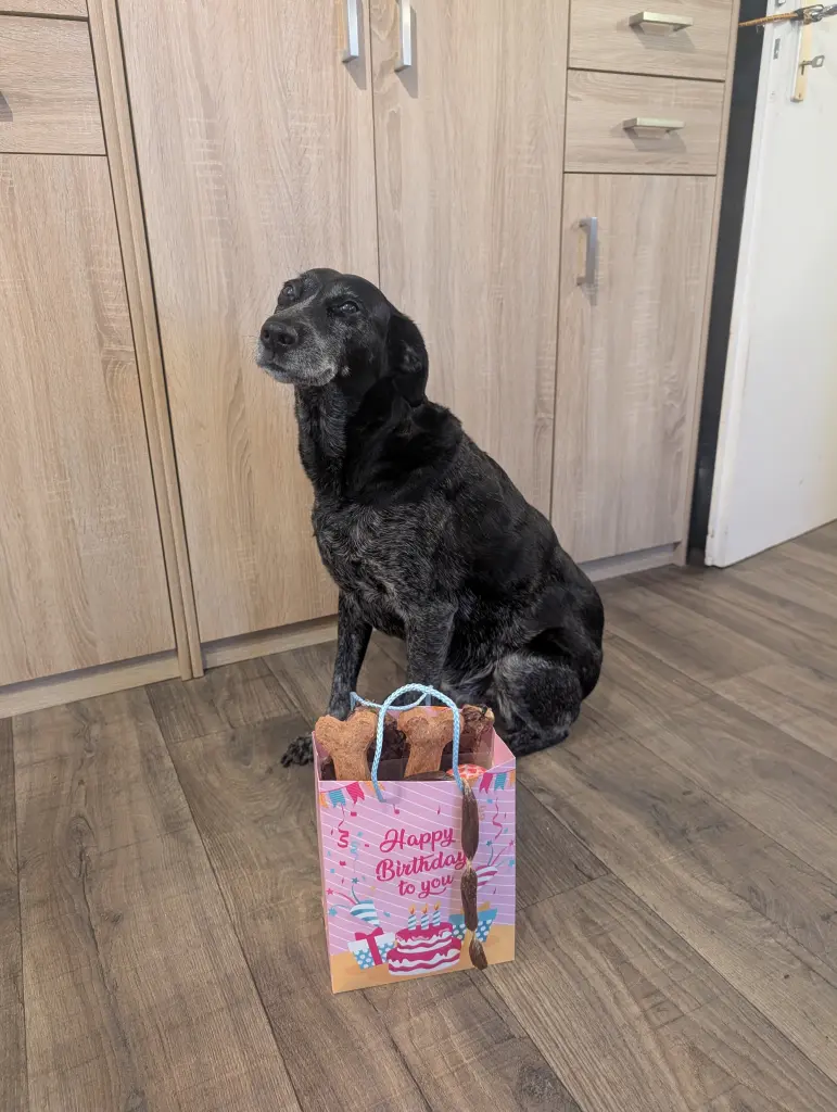 Mein 11. Geburtstag