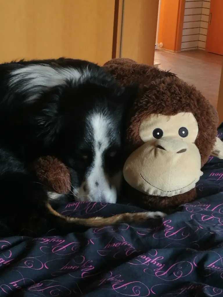 Erstmal eine Runde schlafen
