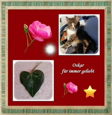 Condolence image of Deine Ilse in Liebe zum 1. Wochengedenken
