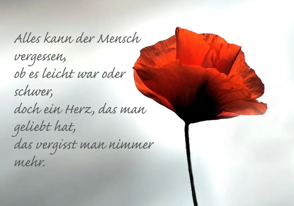 Condolence image of Ein Sonntagsröschen für Oskar