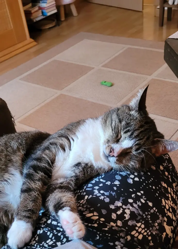 Bei mir auf dem Sofa
