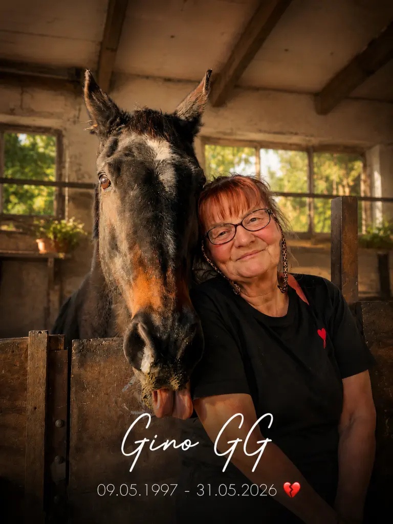 Condolence image of Babette Wernecke