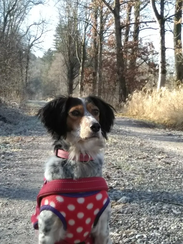 Bild von Betty