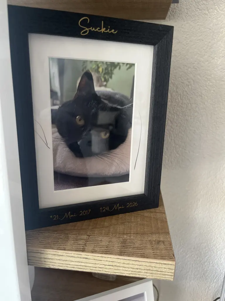 Für immer zuhause ❤️