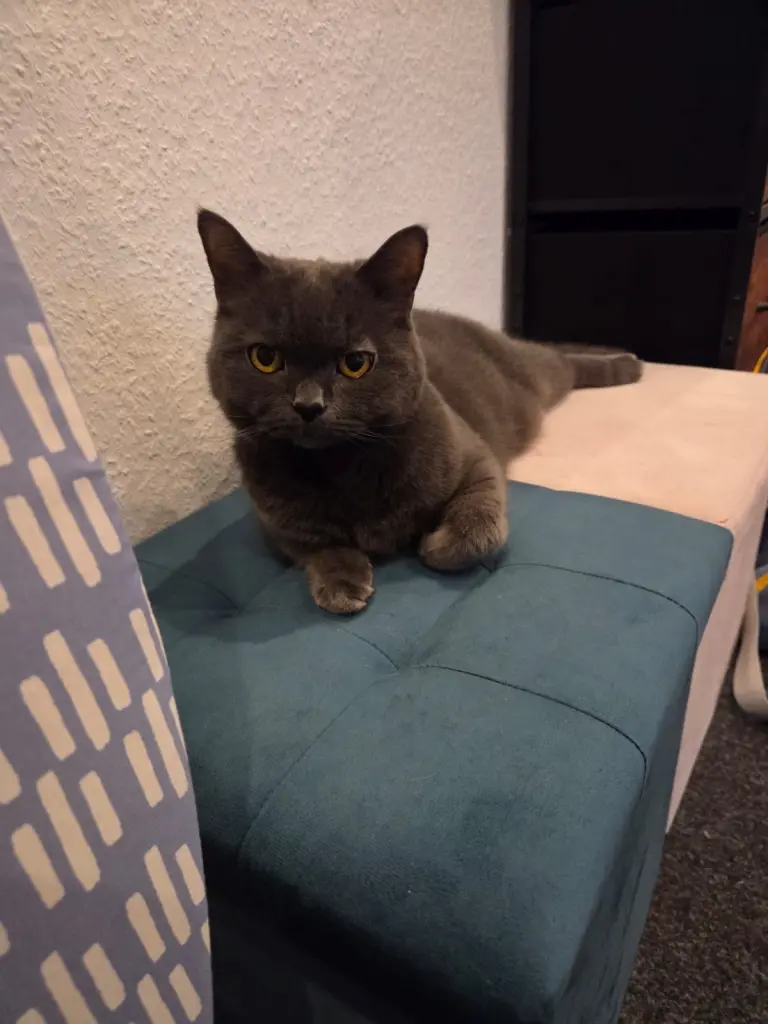 Andachtsbild von Leonie