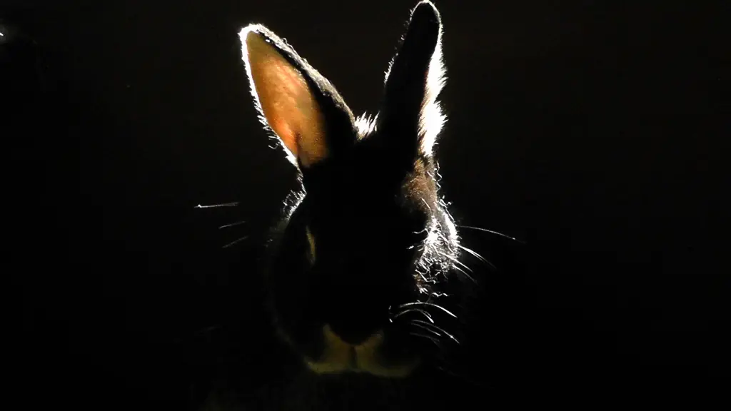Condolence image of Sabine