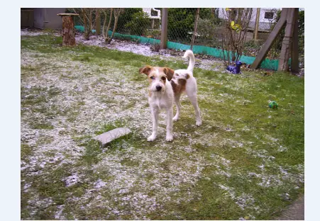 Image from Banja