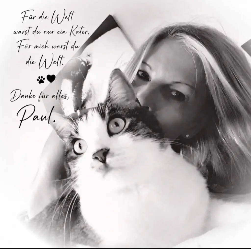 Image from Paul