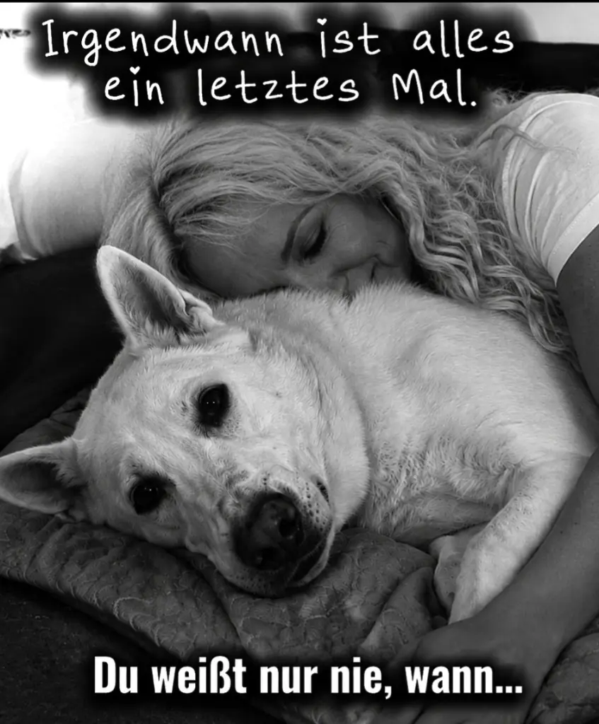 Condolence image of Andrea