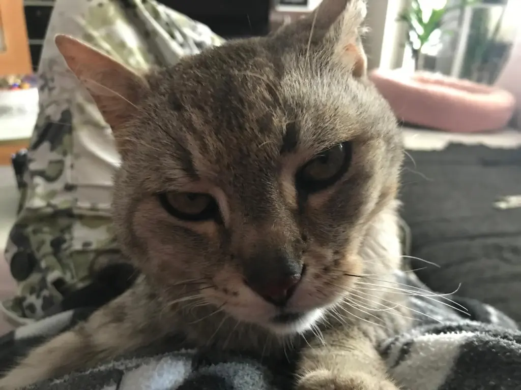 Condolence image of Silke Billy