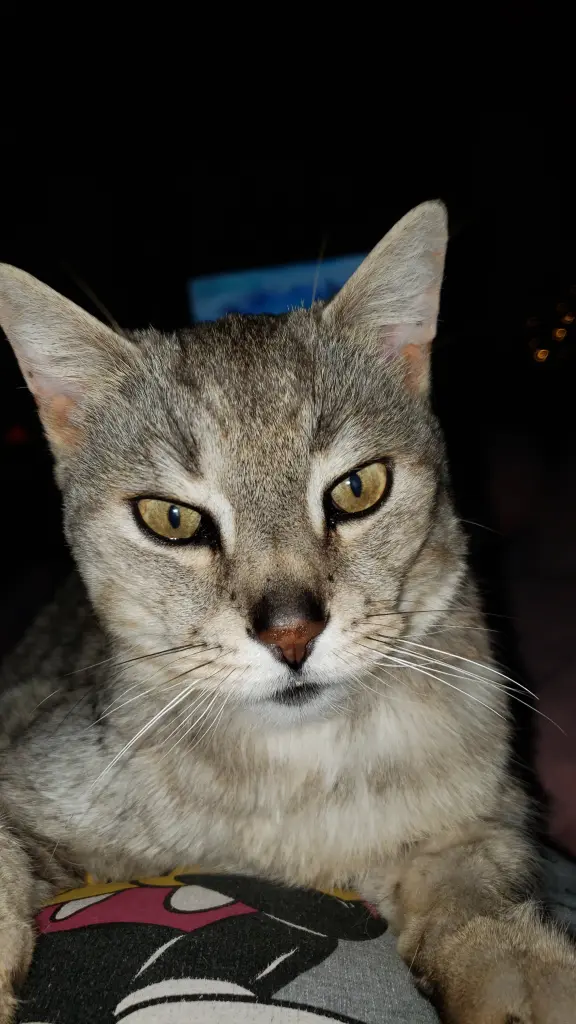 Condolence image of Silke Billy