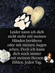 Condolence image of Sabine mit Otis&Ruffy im ♥️