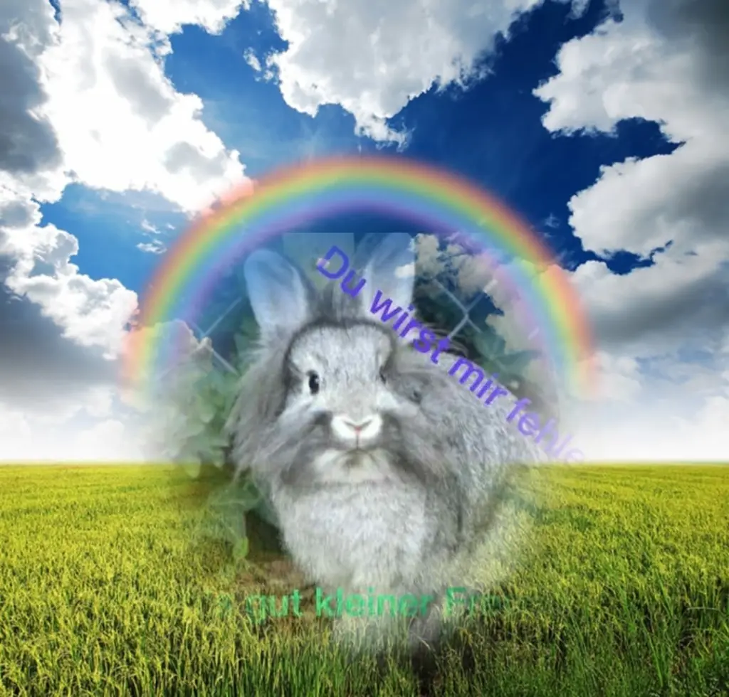 Image from Oscar
