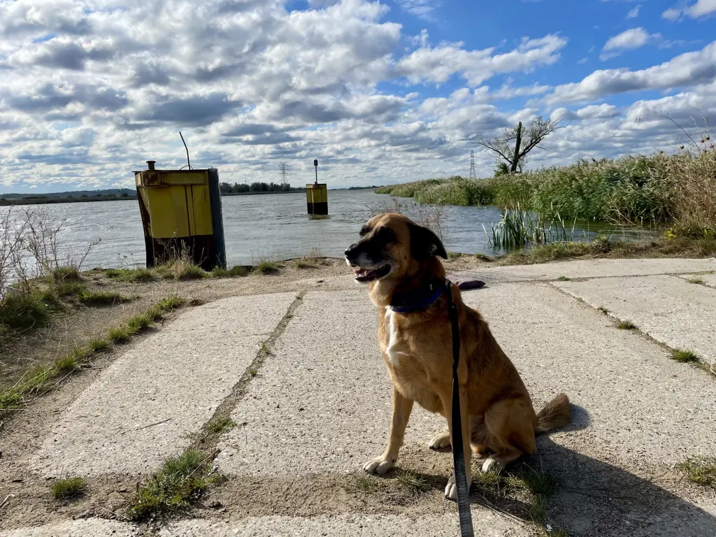 Bild von Jackson