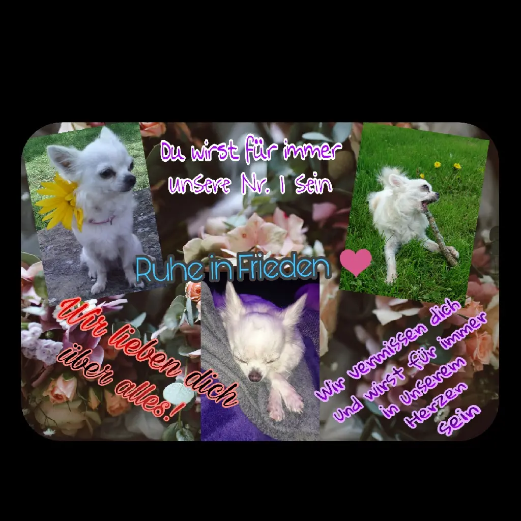 Condolence image of Len