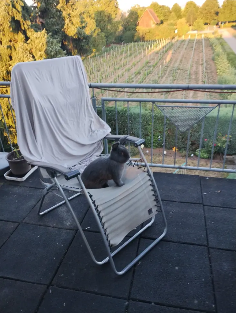 Condolence image of Claudia mit Willi, Faxe und Loui im Herzen