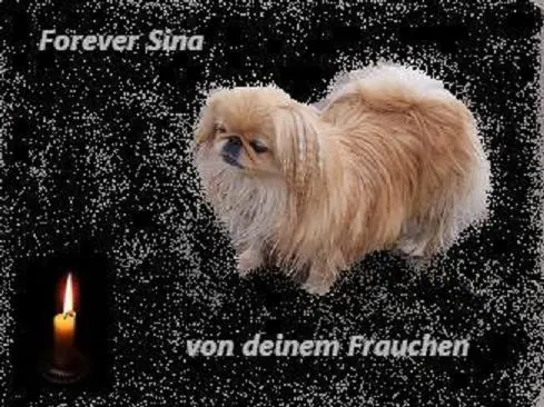 Image from ? meine entzückende und bewundernswerte Sina ?