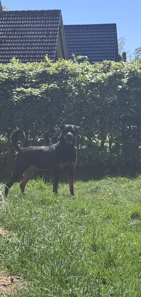 Bild von Kaylo