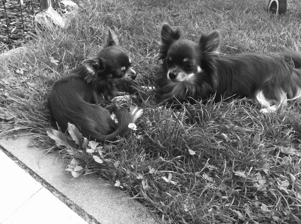 Du und dein Bruder 🥰