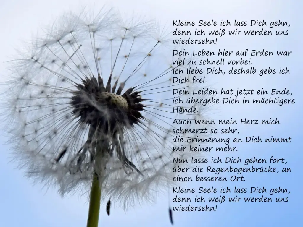 Condolence image of Im Gedenken.