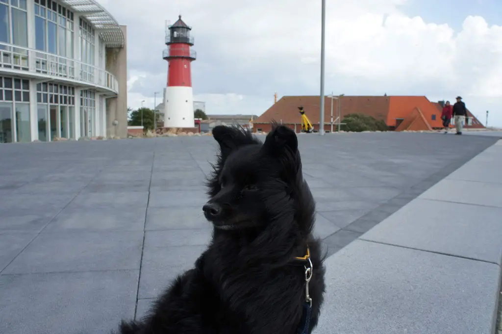 Bild von Bella Mia