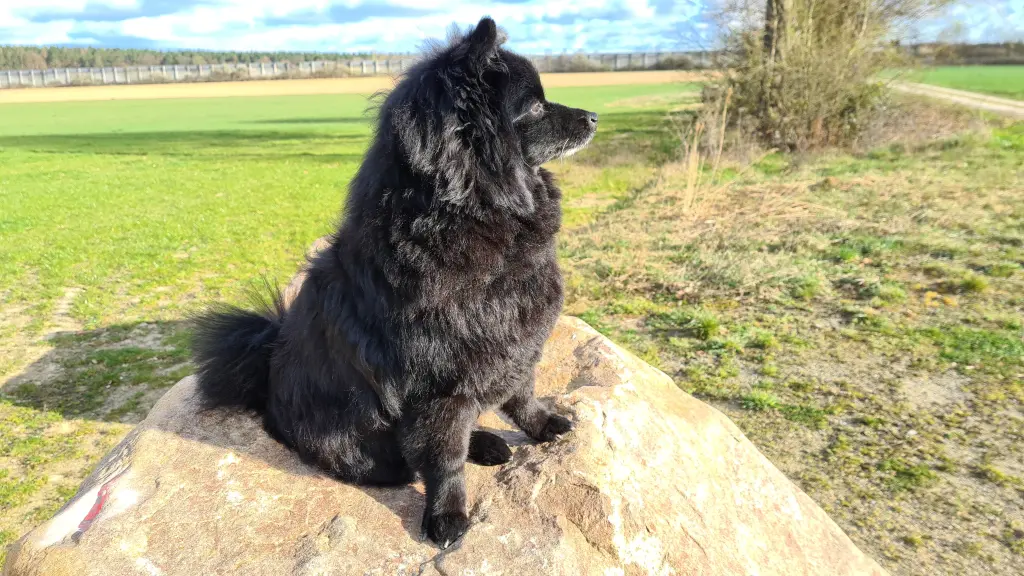 Bild von Bella Mia