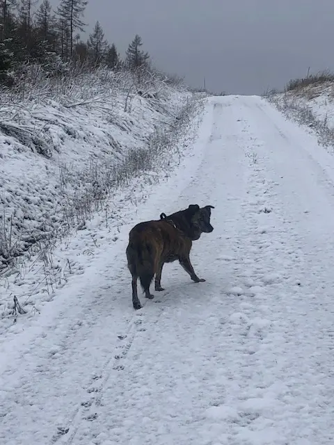 ...es war ein toller Winter
