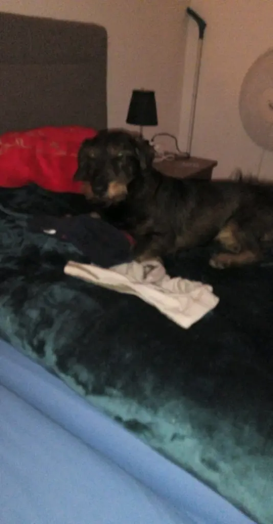 Bild von Jack